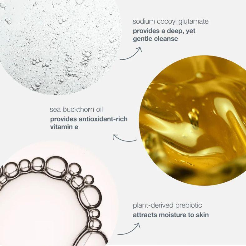 oil to foam total cleanser - Dermalogica Malaysia
