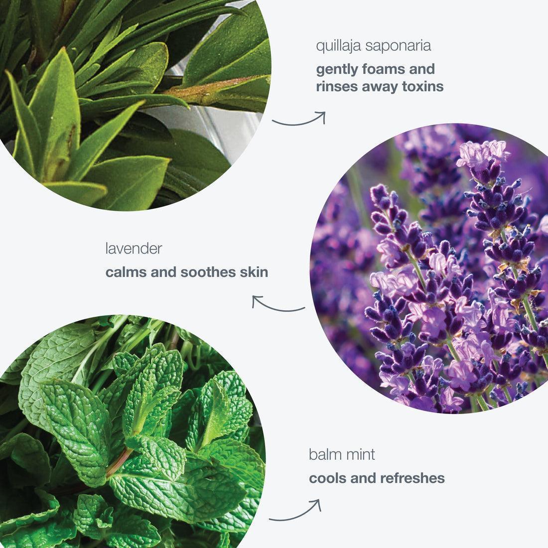 special cleansing gel - Dermalogica Malaysia