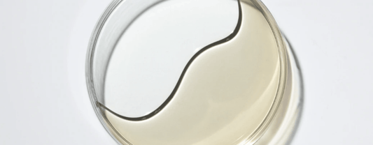 how ceramides can benefit your skin - Dermalogica Malaysia