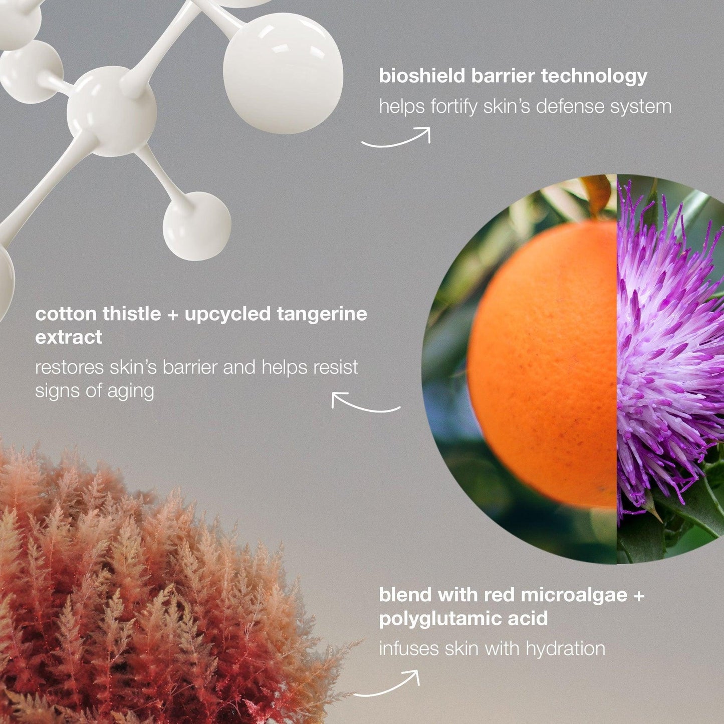 serum penguat kulit dinamik