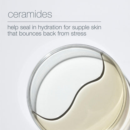 hyaluronic ceramide mist - Dermalogica Malaysia