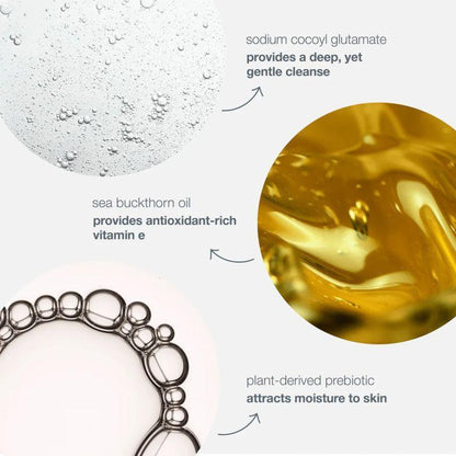 oil to foam total cleanser - Dermalogica Malaysia