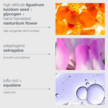 phyto nature oxygen cream 5ml - Dermalogica Malaysia