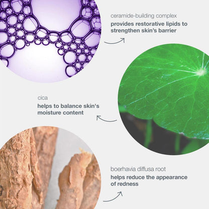 stabilizing repair cream - Dermalogica Malaysia